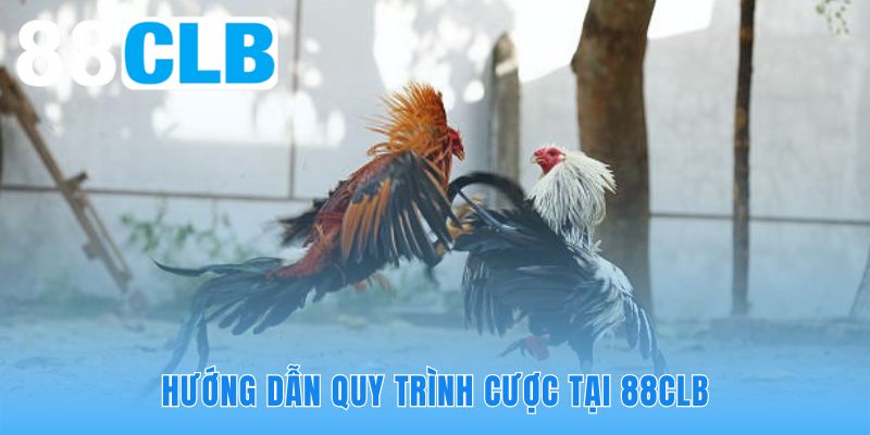 Quy trình cược tối giản giúp người chơi hoàn tất vé cược trong hai phút